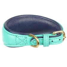 Digby & Fox Leather Padded Greyhound Dog Collar - Teal - XS - Neckline: 21cm-24cm