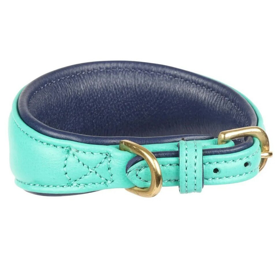 Digby & Fox Leather Padded Greyhound Dog Collar - Teal - XS - Neckline: 21cm-24cm