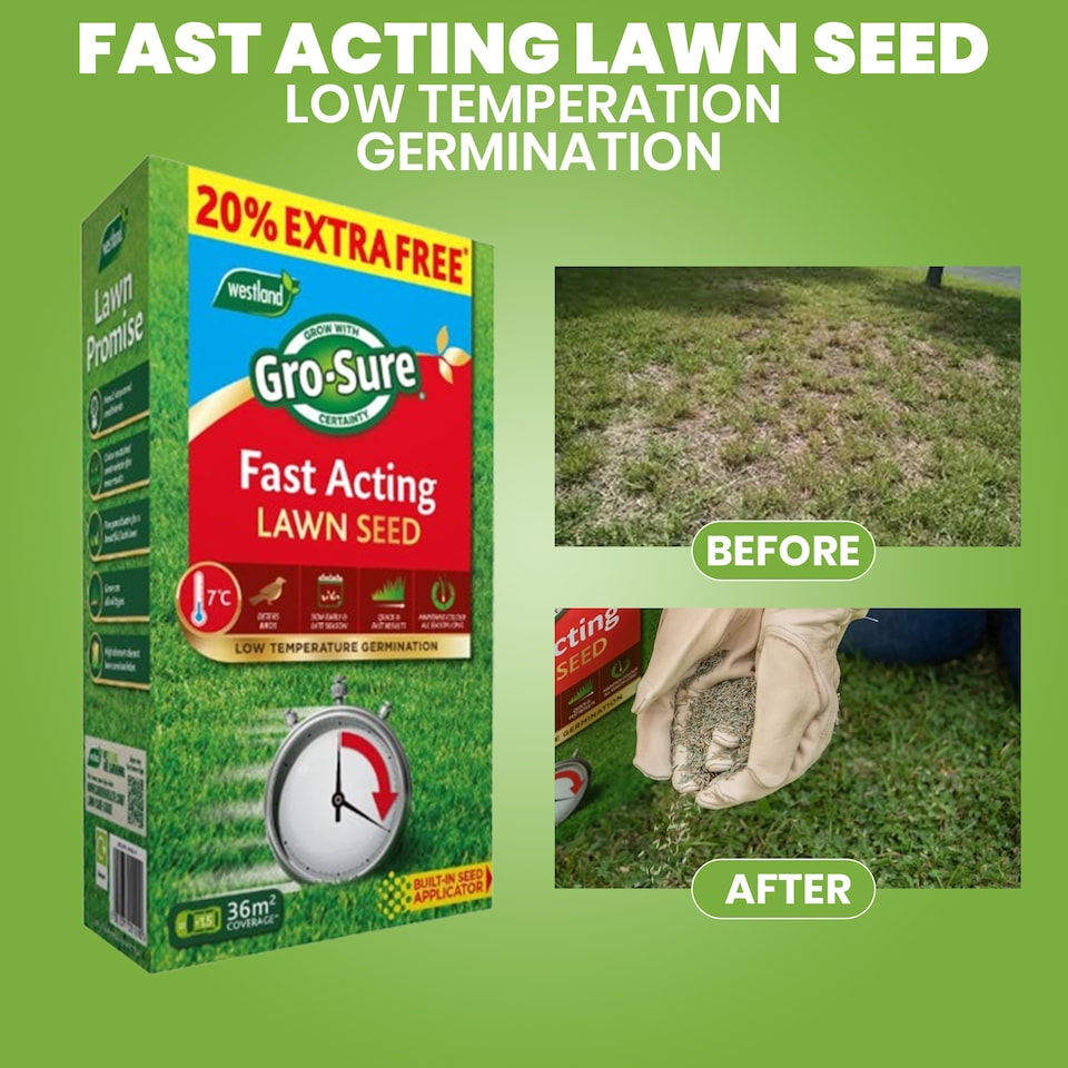 image 1 of Westland Gro-Sure Fast Acting Lawn Seed 30 Square Meter with 20 Percent Extra Free Quick Germination Grass Seed for New Lawns and Patch Repair