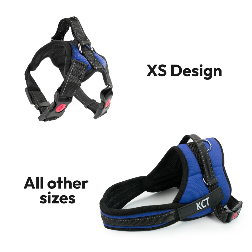 image 1 of KCT Extra Small Blue Padded Dog Harness Blue | XS