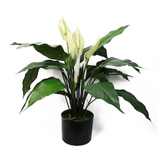 Artificial Peace Lily White Spathiphyllum