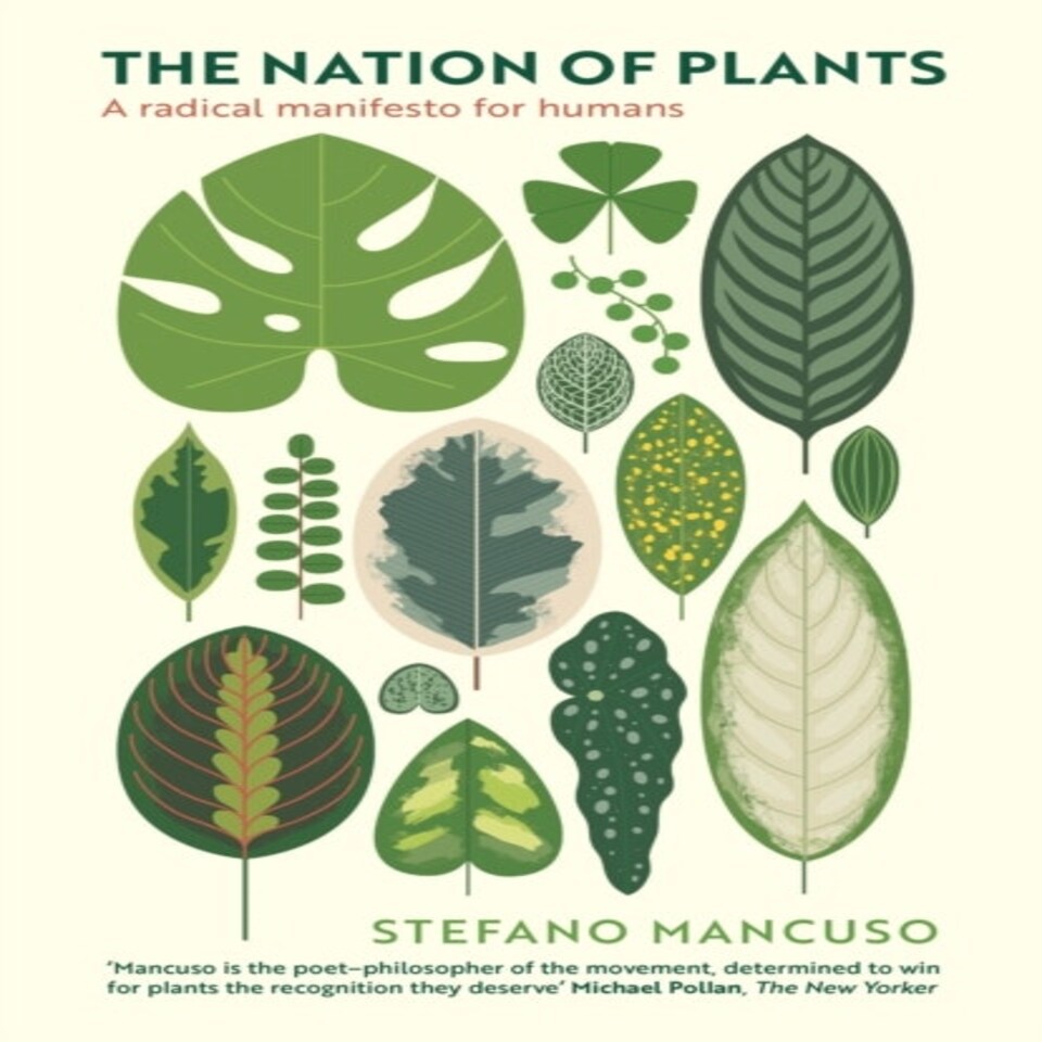 The Nation Of Plants
