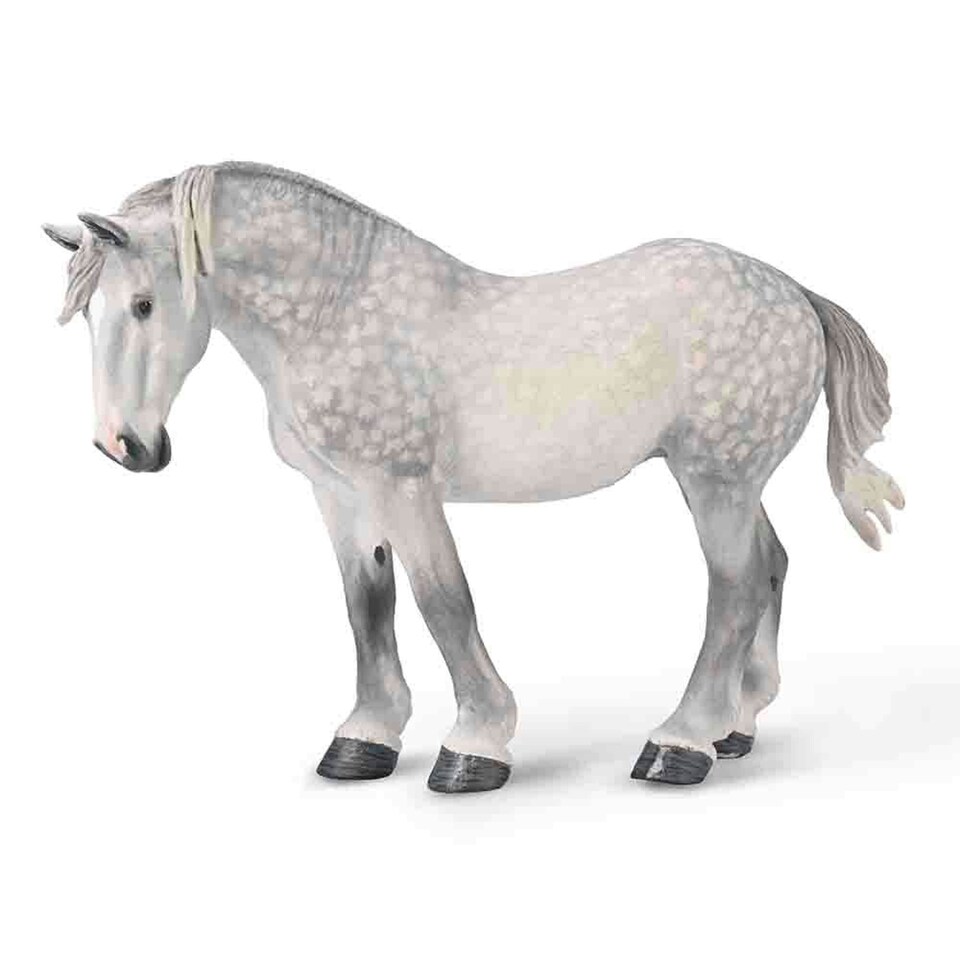 Percheron Mare  Dappled Grey