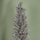 image 3 of 7ft (2.1m) Grey Pencil Pine Artificial Christmas Tree with 401 Tips