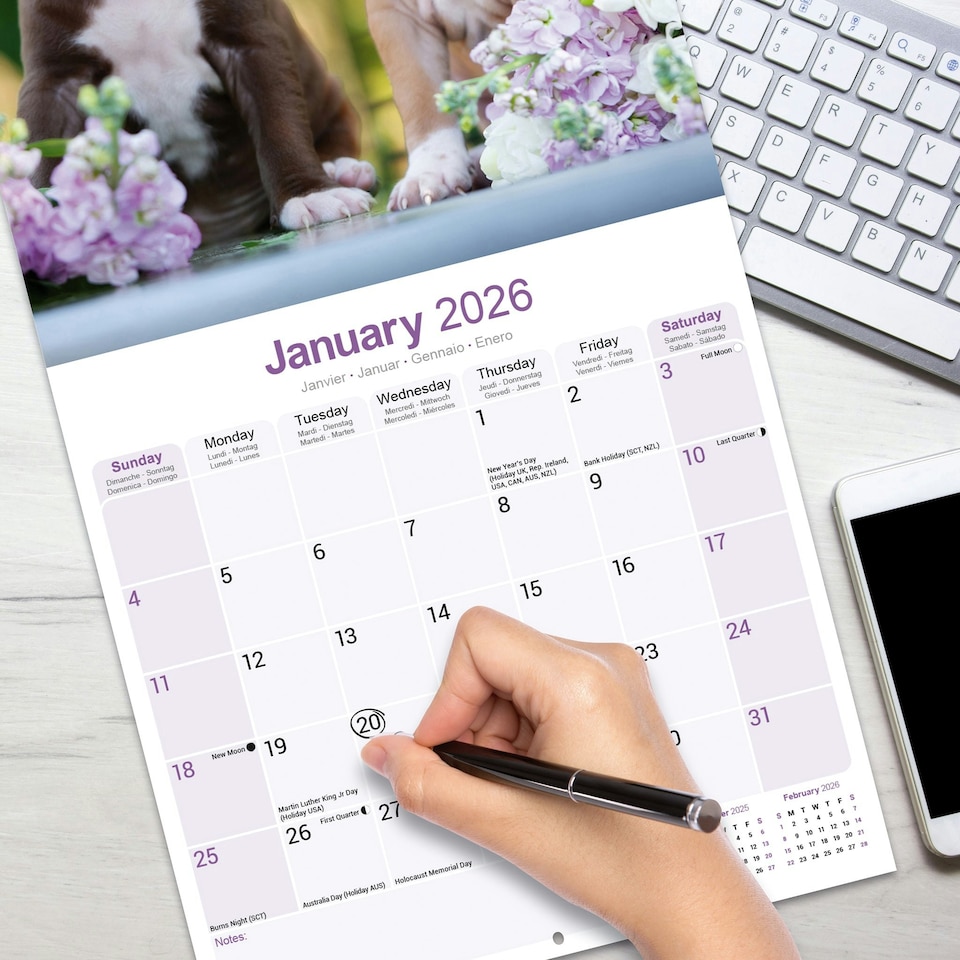 image 1 of American Pit Bull Terrier 2026 Calendar | Square Wall Calendar | Dog Breed Gift | Plastic Free Packaging | by Avonside Publishing