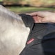 image 5 of LeMieux Anti Rub Bib Black | X-Large
