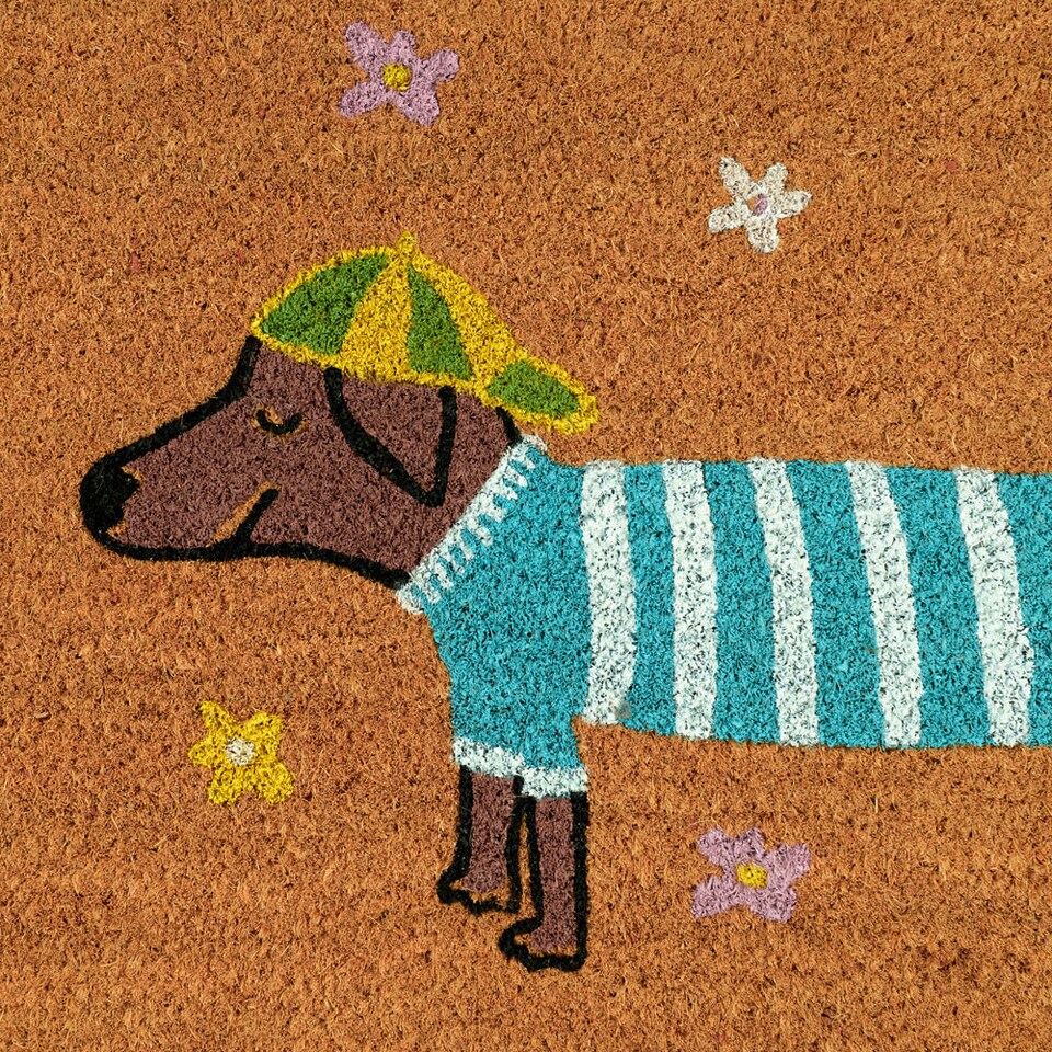 image 1 of KUKOON Spring Dog Coir Doormat 45cm x 120cm