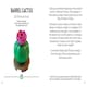 image 3 of LEGO® Botanicals™: Tiny Desert Garden