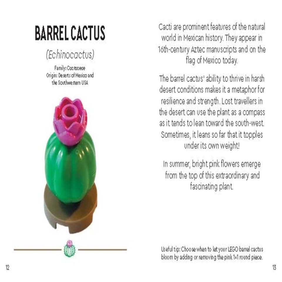 image 1 of LEGO® Botanicals™: Tiny Desert Garden