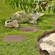 image 8 of Earth brown Single size Cracked log Stepping stone - Pack of 2 | Brown | Bown | Pack of 2