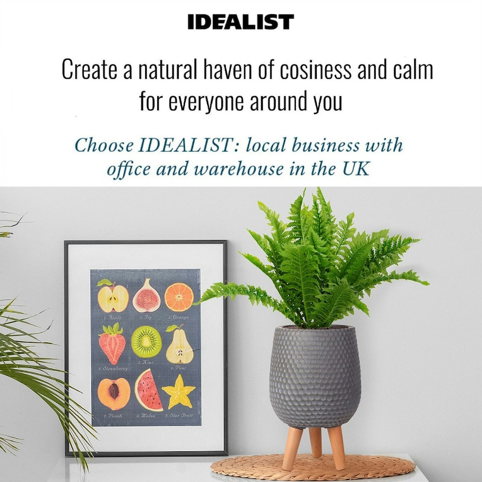 image 1 of Honeycomb Style Dark Grey Planter with Legs, Round Indoor Plant Pot Stand for Indoor Plants by Idealist Lite D21 H34 cm, 6L