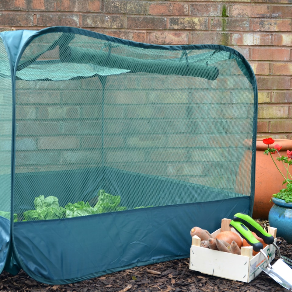 image 1 of GardenSkill Pop Up Strawberry & Salad Fruit Cage Bird Netting Pest Protection Cover 1.25m x 0.75m H