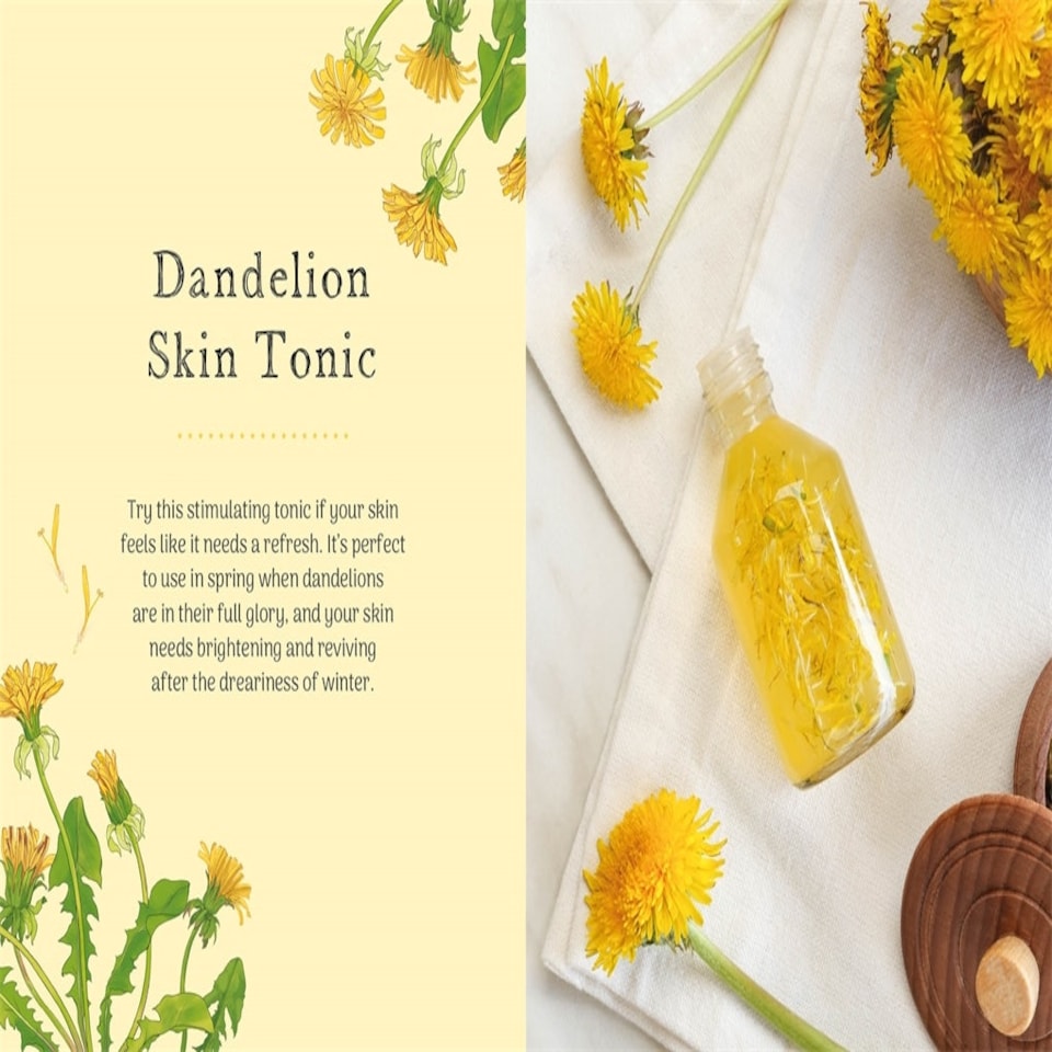 image 1 of The Little Wild Library: Dandelion