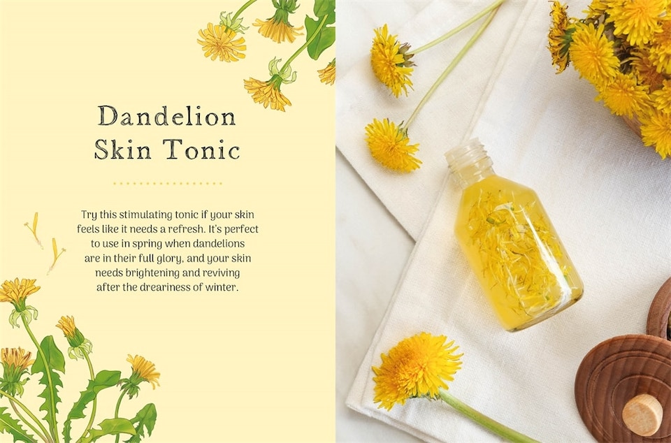 image 1 of The Little Wild Library: Dandelion