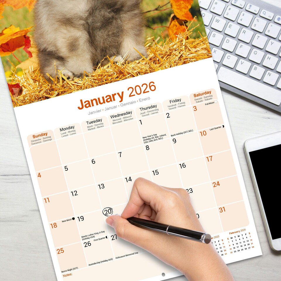 image 1 of Keeshond 2026 Calendar | Square Wall Calendar | Dog Breed Gift | Plastic Free Packaging | by Avonside Publishing