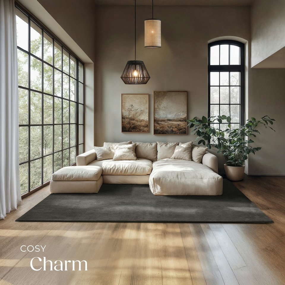 image 1 of Rug Zonelle - short pile and ultra-soft, rectangular or round Grey | Anthracite | 200 x 290 cm