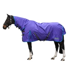 Whitaker Rastrick V2 Fixed Neck Horse Turnout Rug - Purple - 6´ 9"