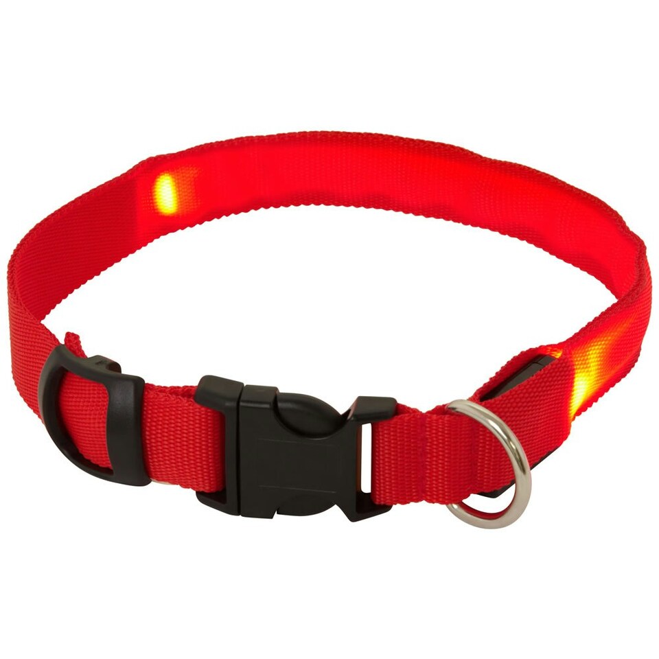 image 1 of Light Up Dog Collar - LED - Bunty Pink | M