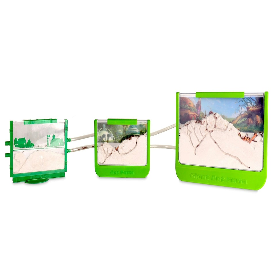 image 1 of Giant Ant Farm