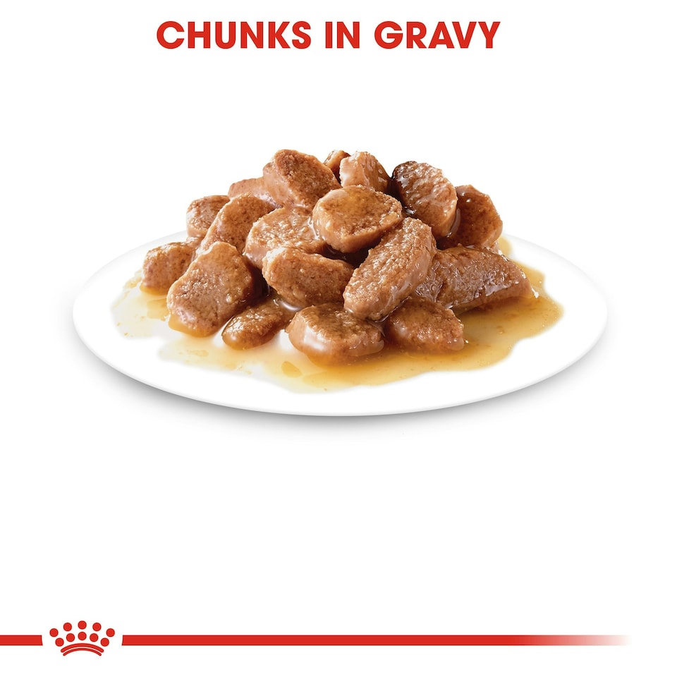 image 1 of ROYAL CANIN® Intense Beauty Care Adult Wet Cat Food N/A | Size: 12 x 85g
Texture: Gravy