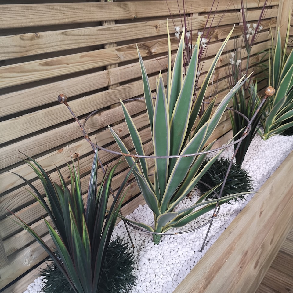 image 1 of Pack of 4 Tom Chambers Herbaceous Bare Rusted Steel Garden Plant Support Medium 54cm x 40cm