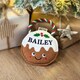 image 2 of Pre-personalised Christmas Dog Toy Gift - Over 80 Titles - Bailey