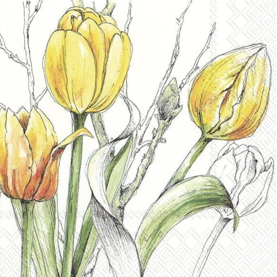 IHR Lunch Napkins Colourful Tulips Yellow 33cm 3ply 20 Pack
