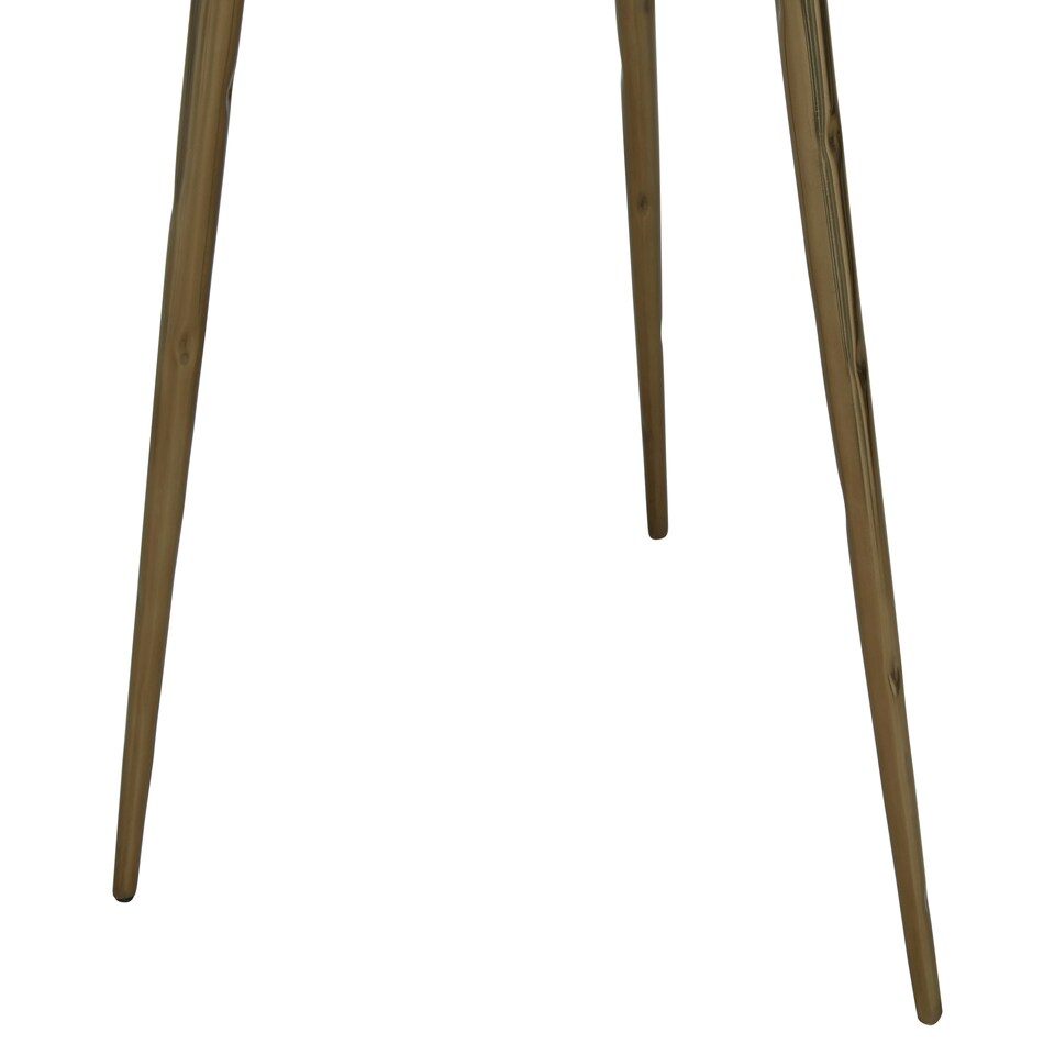 image 1 of Relic Side Table With Petrified Wood Top and Brass Finish Legs Brown