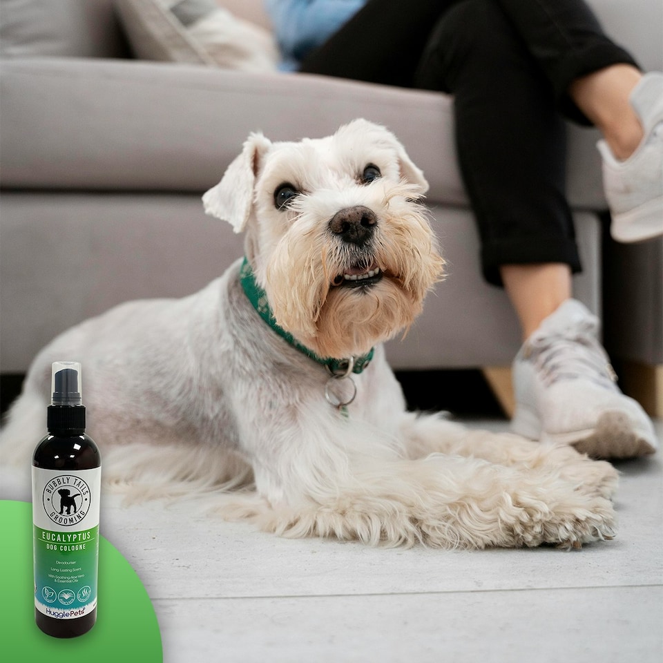 image 1 of HugglePets Bubbly Tails Dog Cologne - Eucalyptus
