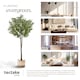 image 8 of Artificial Plant - olive tree, realistic look, low-maintenance | Green | green | 40 x 40 x 150 cm | 1