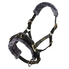 Shires Fleece Lined Plush Horse Lunge Cavesson - Black - Pony