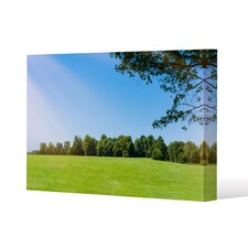 grass field with forest trees and environment public park with sun rays (Canvas Print) / 152 x 101 x 4cm | Multi