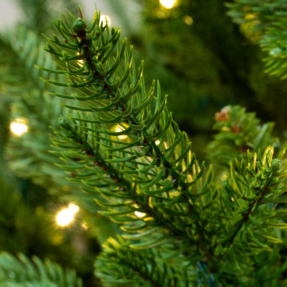 image 1 of Christmas Tree World  9ft/270cm Pre-lit Ultra Mountain Pine