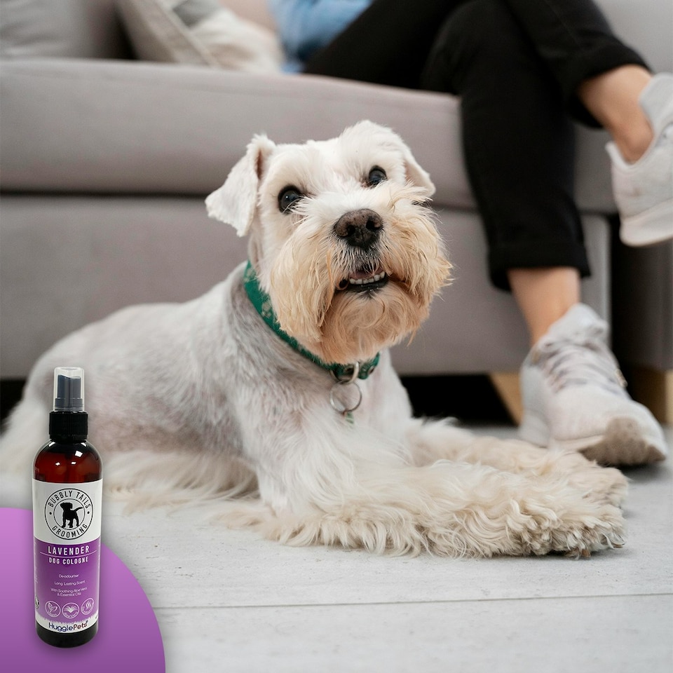 image 1 of HugglePets Bubbly Tails Dog Cologne - Lavender