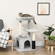 image 2 of PawHut Cat Tree with Scratch Post Condo Perch for Indoor Cats, 85cm, Grey