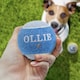 image 2 of Pre-Personalised Dog Ball Gift Pack 2pcs Blue Ollie