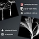 image 4 of Set of 2 Dandelion Lily X-Ray Bedroom Bathroom Black White Photo Wall Art Print A4