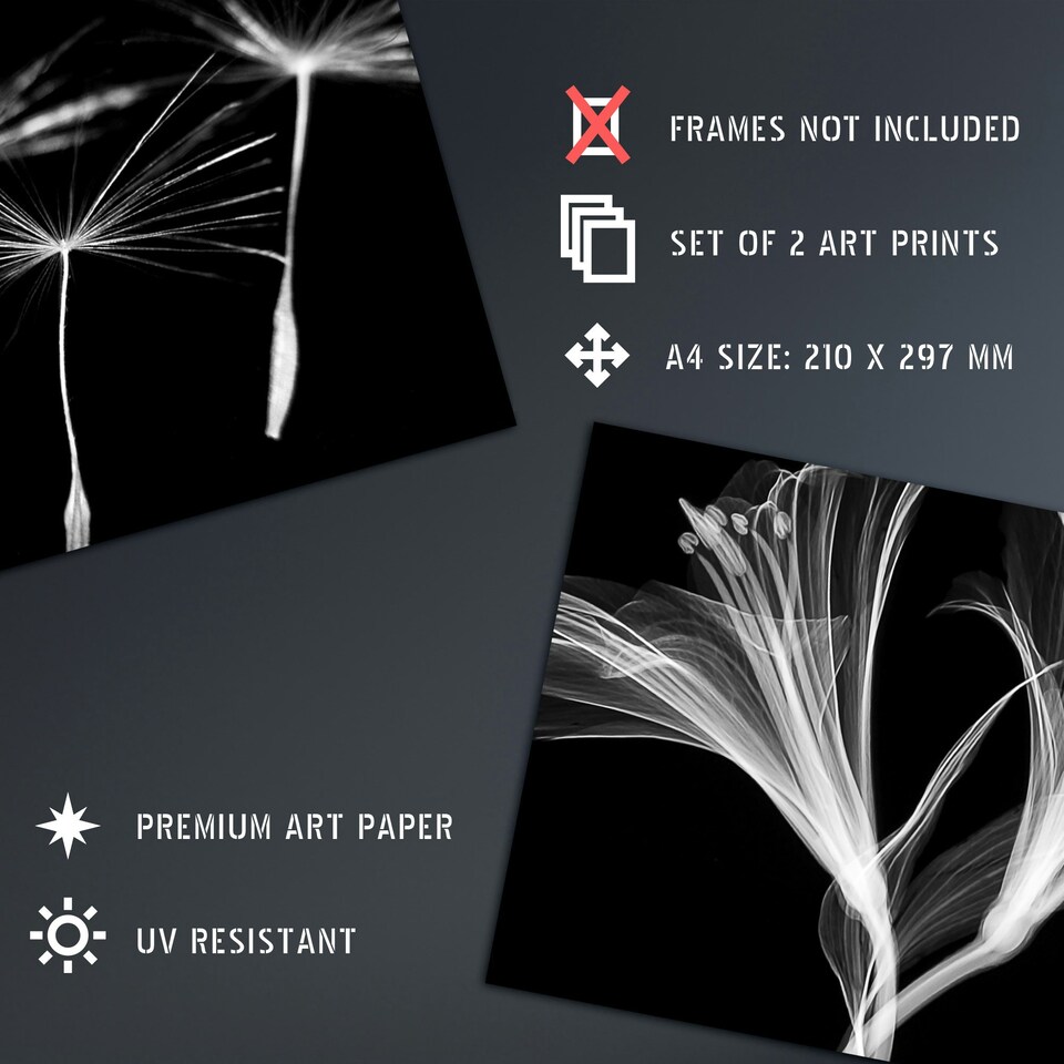 image 1 of Set of 2 Dandelion Lily X-Ray Bedroom Bathroom Black White Photo Wall Art Print A4