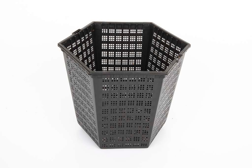image 1 of Pond Planting Basket - Hexagon - 18cm / 3 Ltr