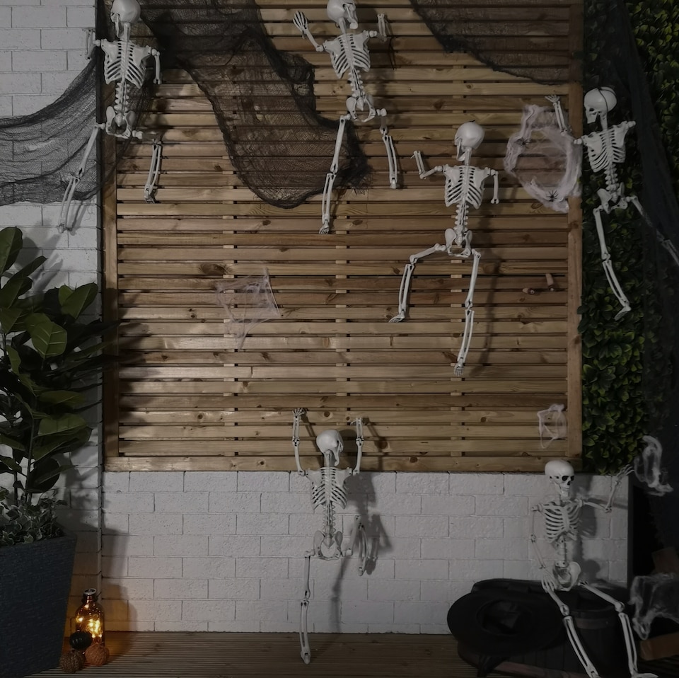 image 1 of 90cm (3ft) Posable Full Body Halloween Skeleton Decoration with Movable Joints