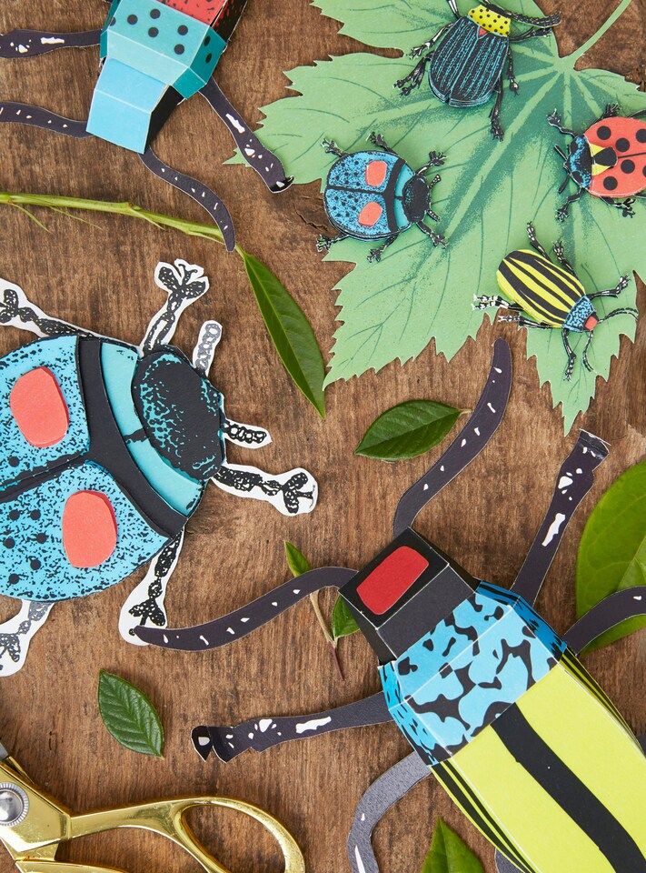 image 1 of RHS Make Your Own 3D Bugs, Childrens Craft Kits