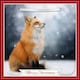 image 1 of Fox In Snow Photographic 3D Lenticular Merry Christmas Card with Detachable Keepsake