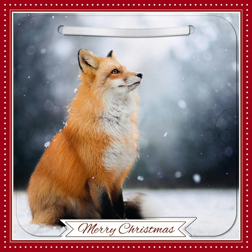 image 1 of Fox In Snow Photographic 3D Lenticular Merry Christmas Card with Detachable Keepsake
