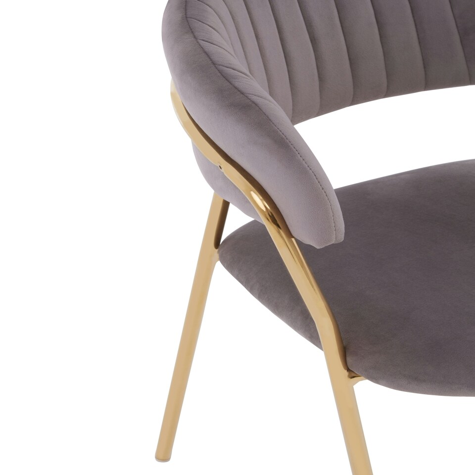 image 1 of Interiors by Premier Soft Mink Velvet Dining Chair, Modern Dining Armchair, Mink and Gold Luxury Dining Chair for Home, Lounge