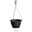 Black & Set of 1
