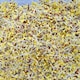 image 3 of Thompson & Morgan Green Sprouting Broccoli Seeds - High Yield Fast Growing Nutritious Vegetable for Healthy Cooking.