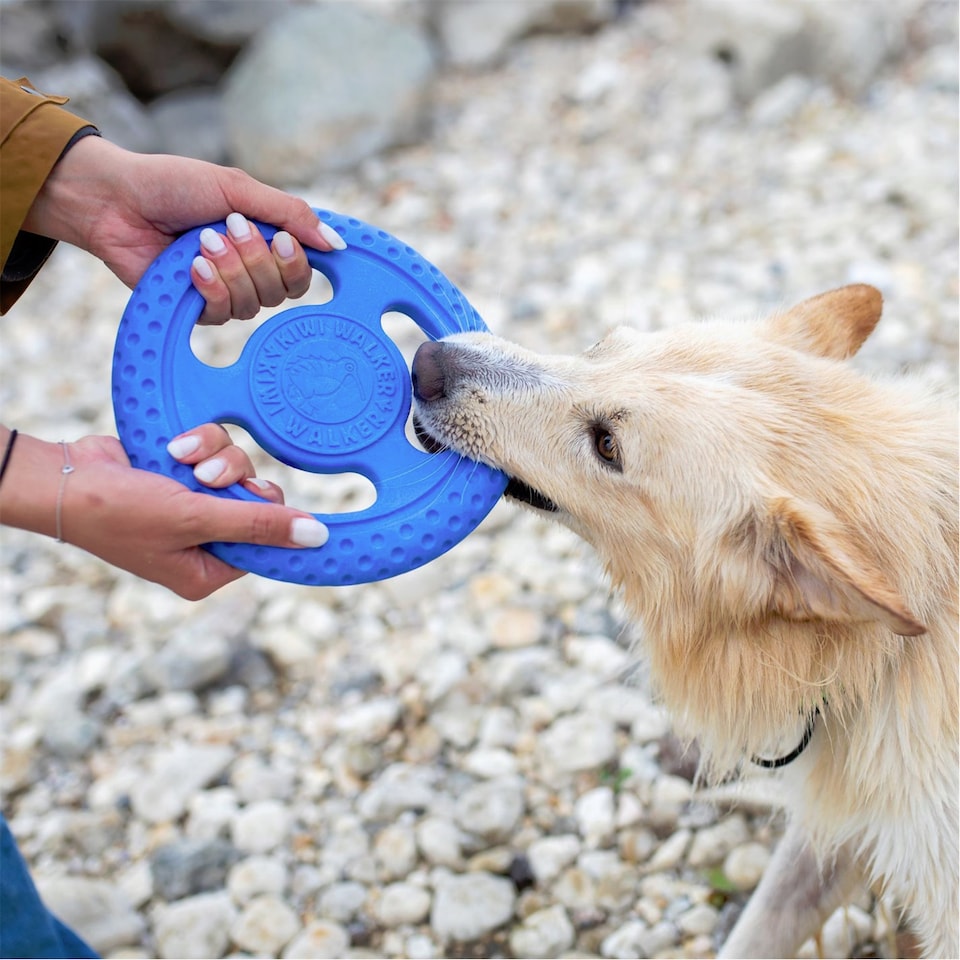 image 1 of Kiwi Walker Bouncy Floating Frisbee Dog Toy | Blue | Blue