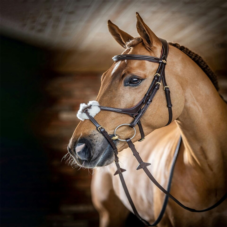 image 1 of LeMieux Grackle Bridle Black | Cob