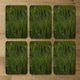 image 2 of Fresh green grass background, natural grass (Coaster)