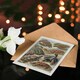 image 4 of Ernst Haeckel Art Card Chelonia Turtles Vintage Illustration